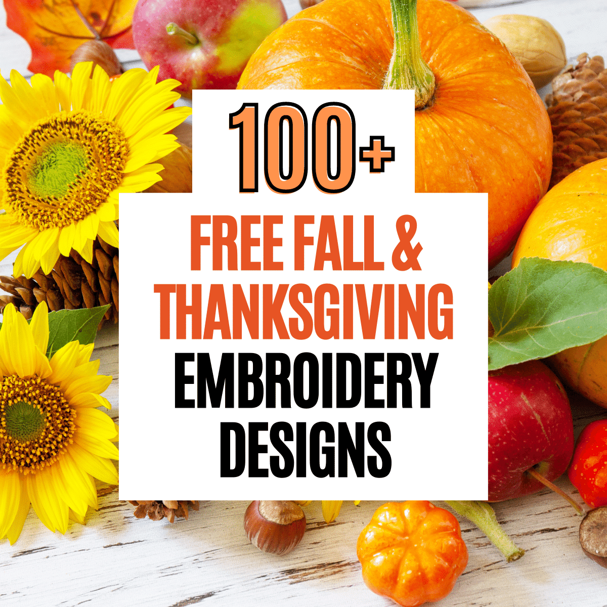 Free thanksgiving & Fall embroidery machine Designs