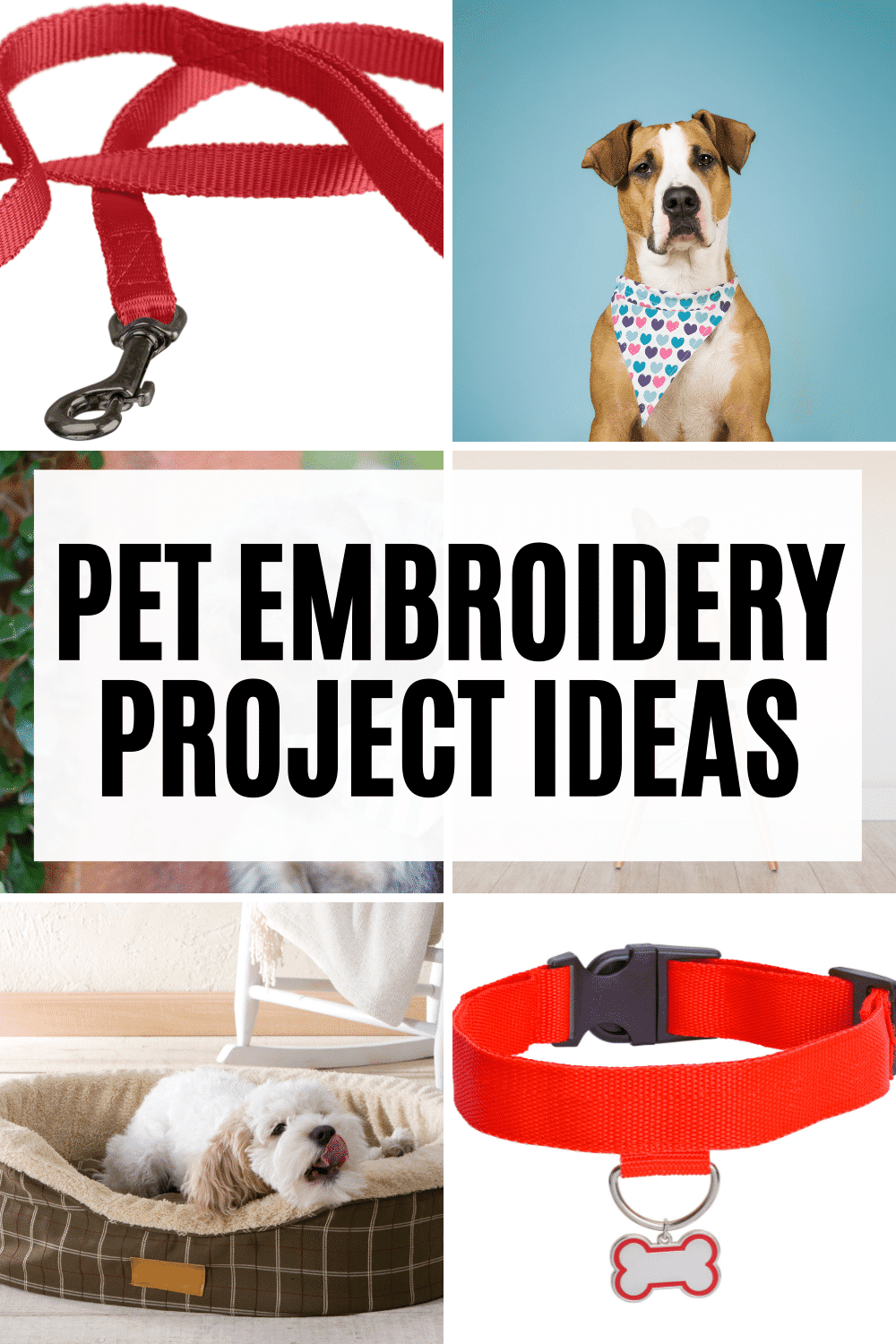 things to embroider for pets