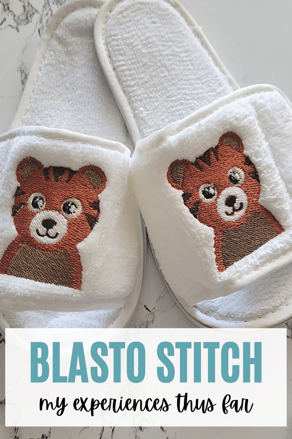 blasto stitch embroidery website review (Pinterest Pin (1000 × 1500))