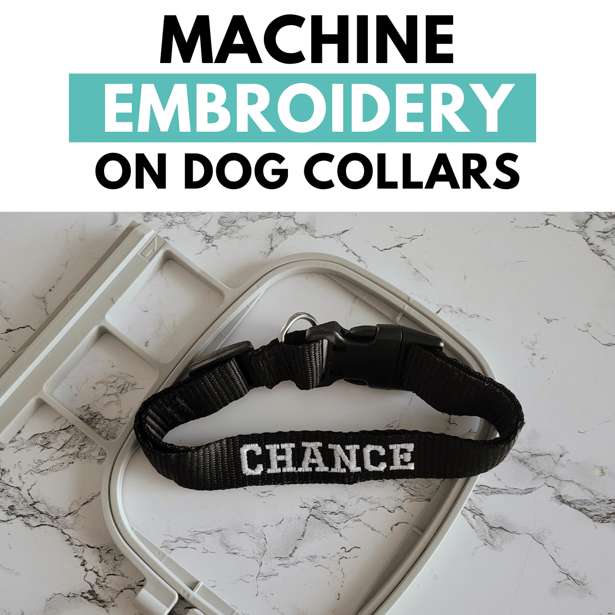 tips for embroidering on dog collars and pet leashes